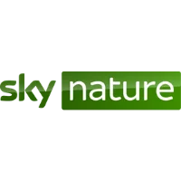 Sky nature