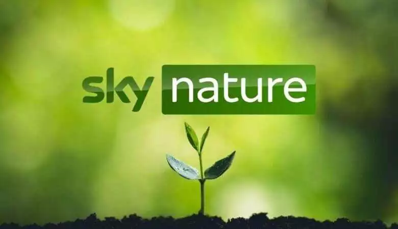 Sky Nature
