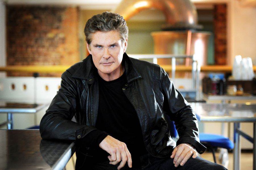 David Hasslehoff in "Ze Network"