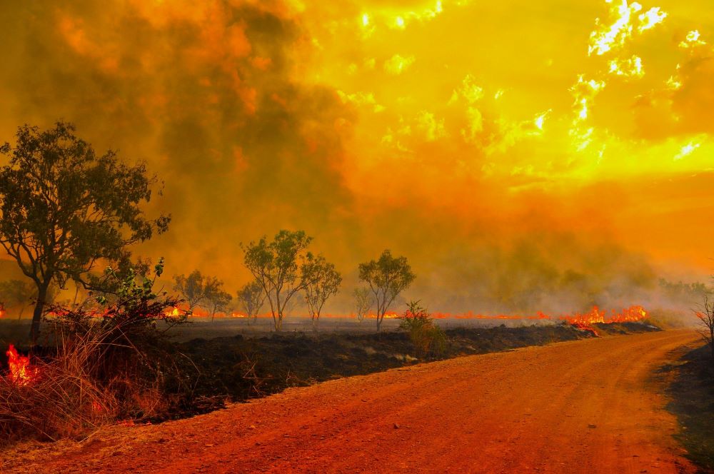 Waldbrand Australien