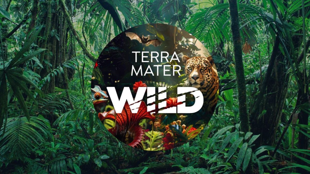 Terra Matter Wild