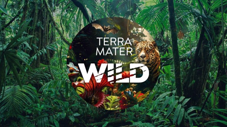 Terra Matter Wild