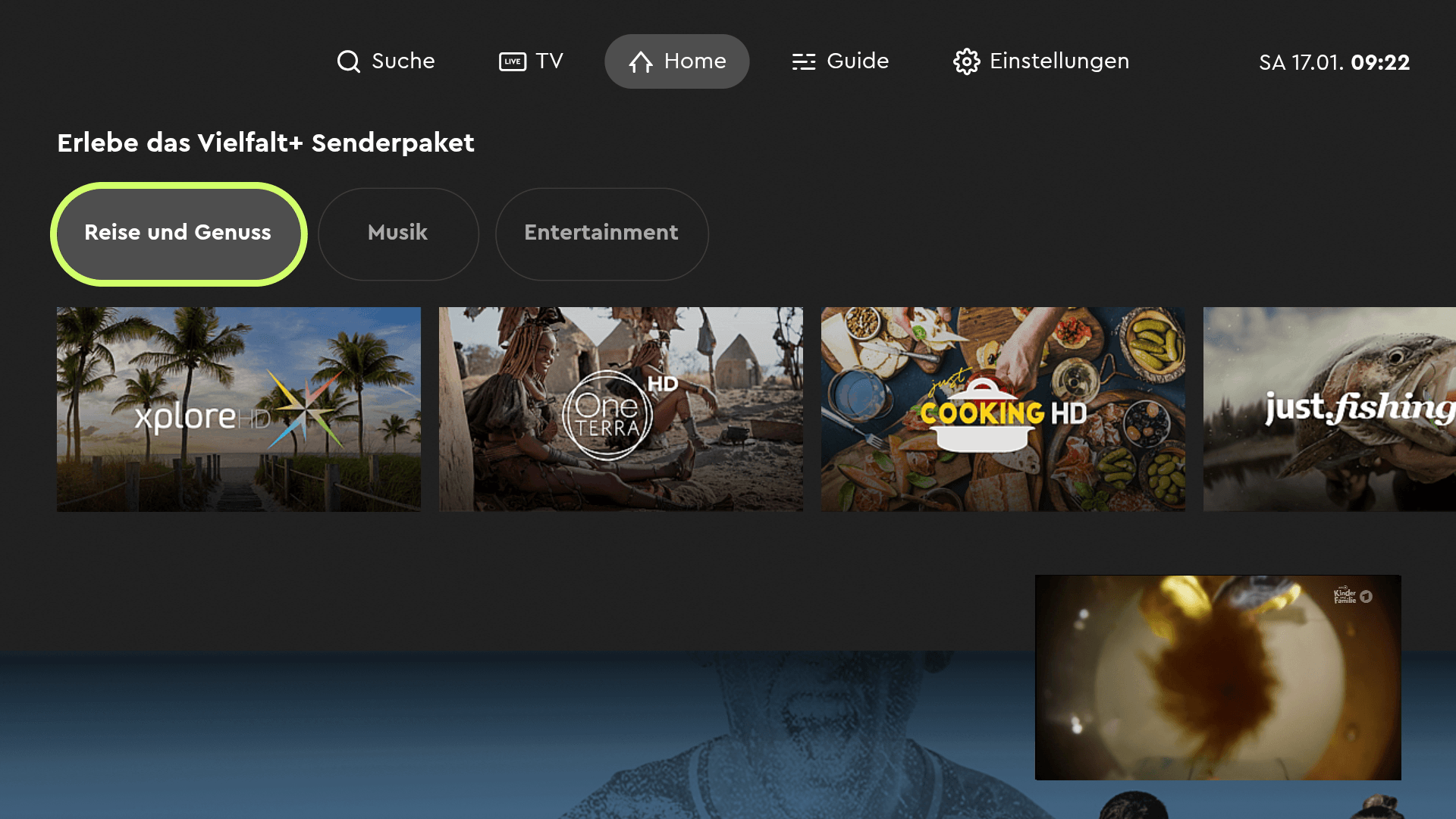 HD+ Stream Vielfalt-Paket mit Zusatzsendern auf dem Fire TV