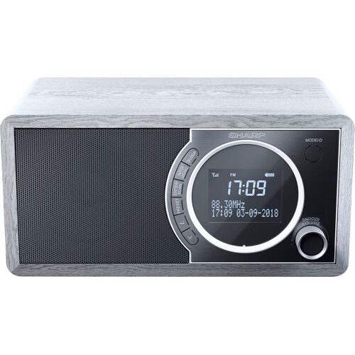 SHARP Digitalradio (DAB+) "DR-450", grau, B:23,4cm H:11,7cm T:14,5cm, Radios