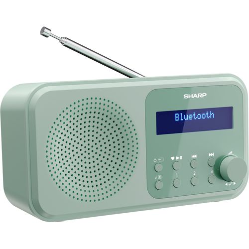 SHARP Digitalradio (DAB+) "TOKYO DR-P420", grün, B:17,4cm H:9cm T:5,3cm, Radios, Digitalradio (DAB+)