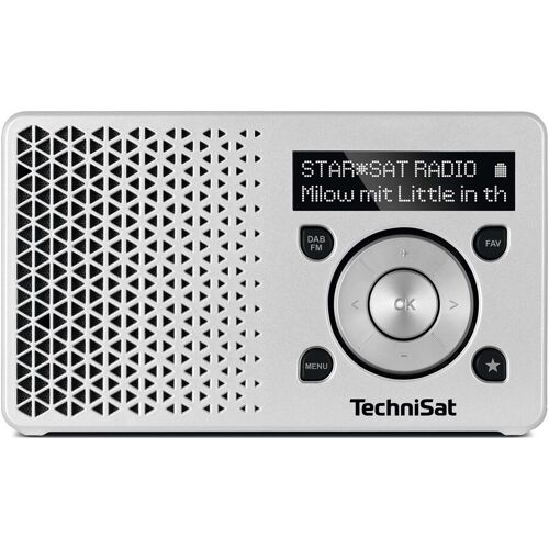 TechniSat Digitalradio DAB+ DIGITRADIO1 ws/si (0001/4997)